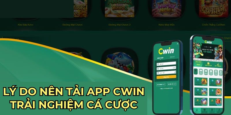 Lý do nên tải app Cwin trải nghiệm cá cược