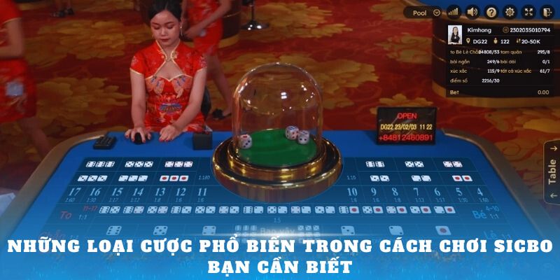 Những loại cược phổ biến trong cách chơi Sicbo bạn cần biết